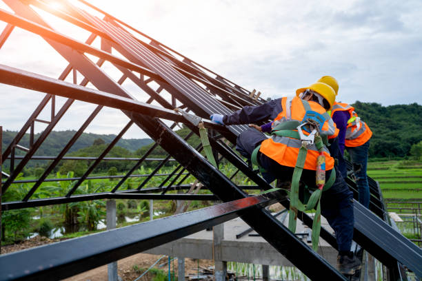 Best Gutter Installation and Roofing  in Clermont, GA