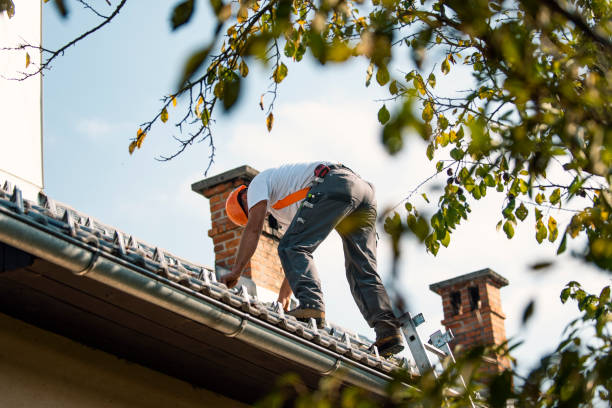 Best New Roof Installation  in Clermont, GA