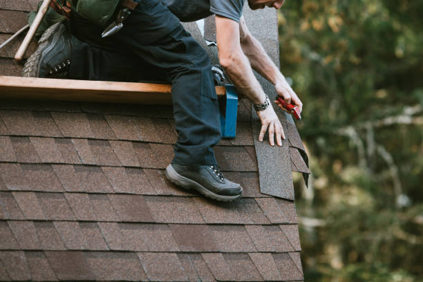 Best Roof Waterproofing Services  in Clermont, GA